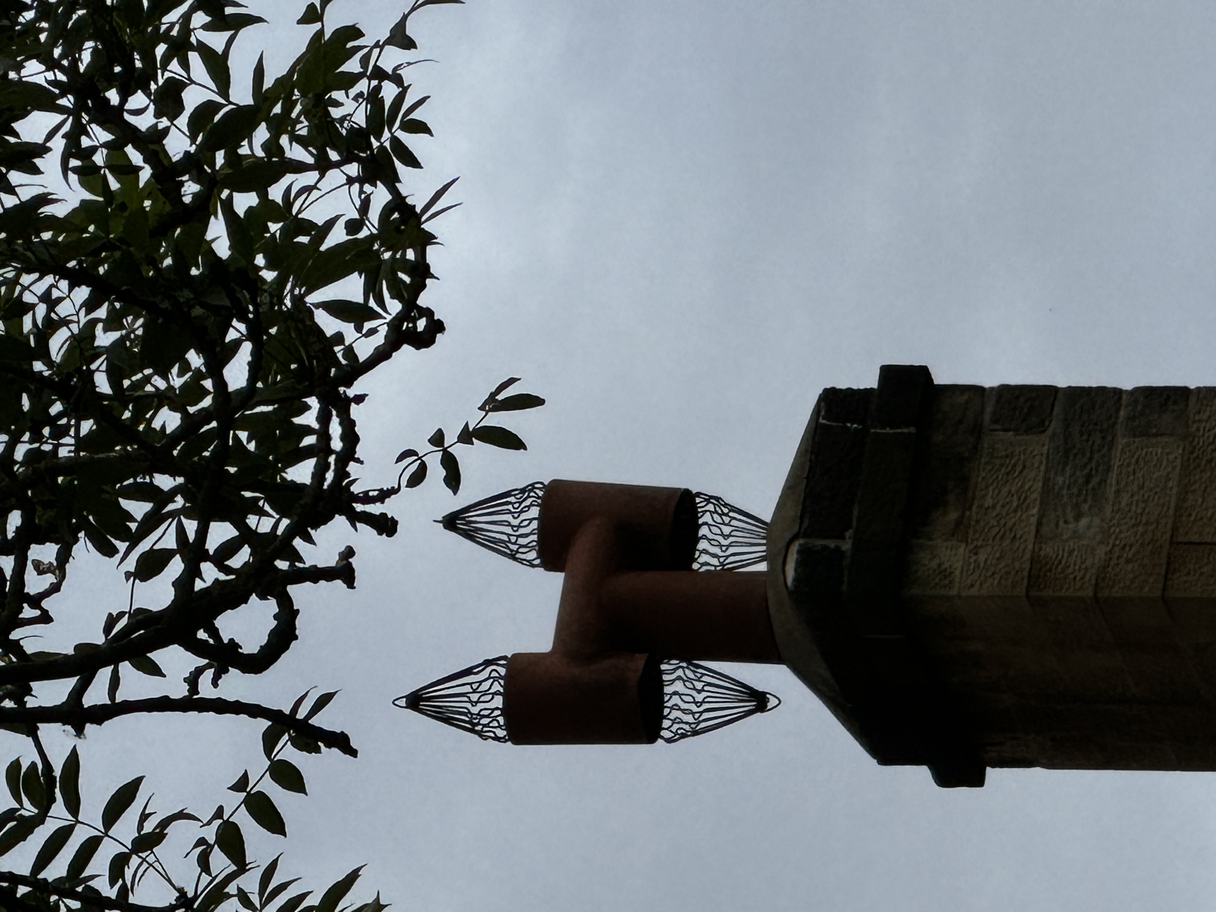 IMG_8241.jpeg