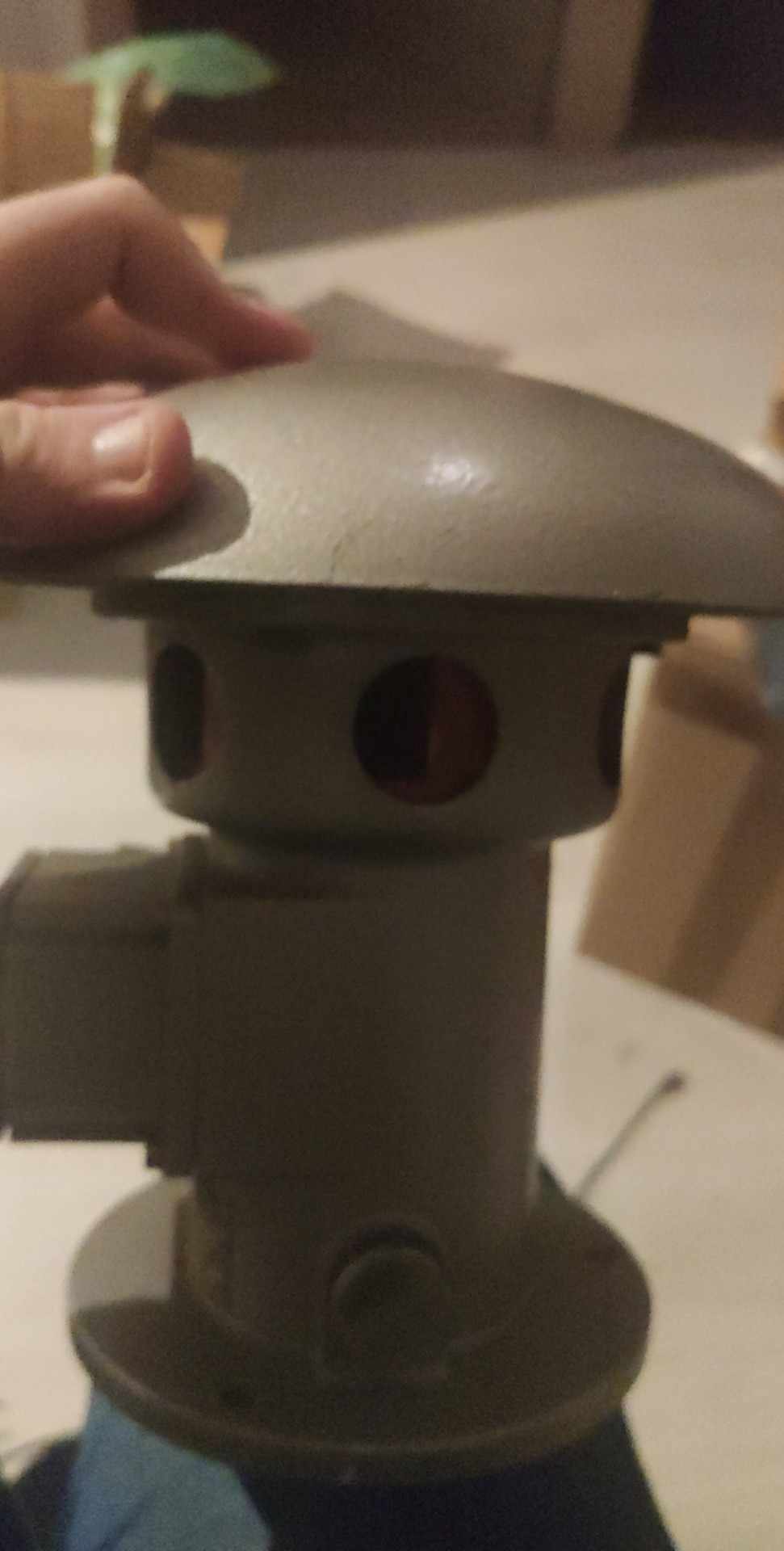 received_1272103757137495.jpeg