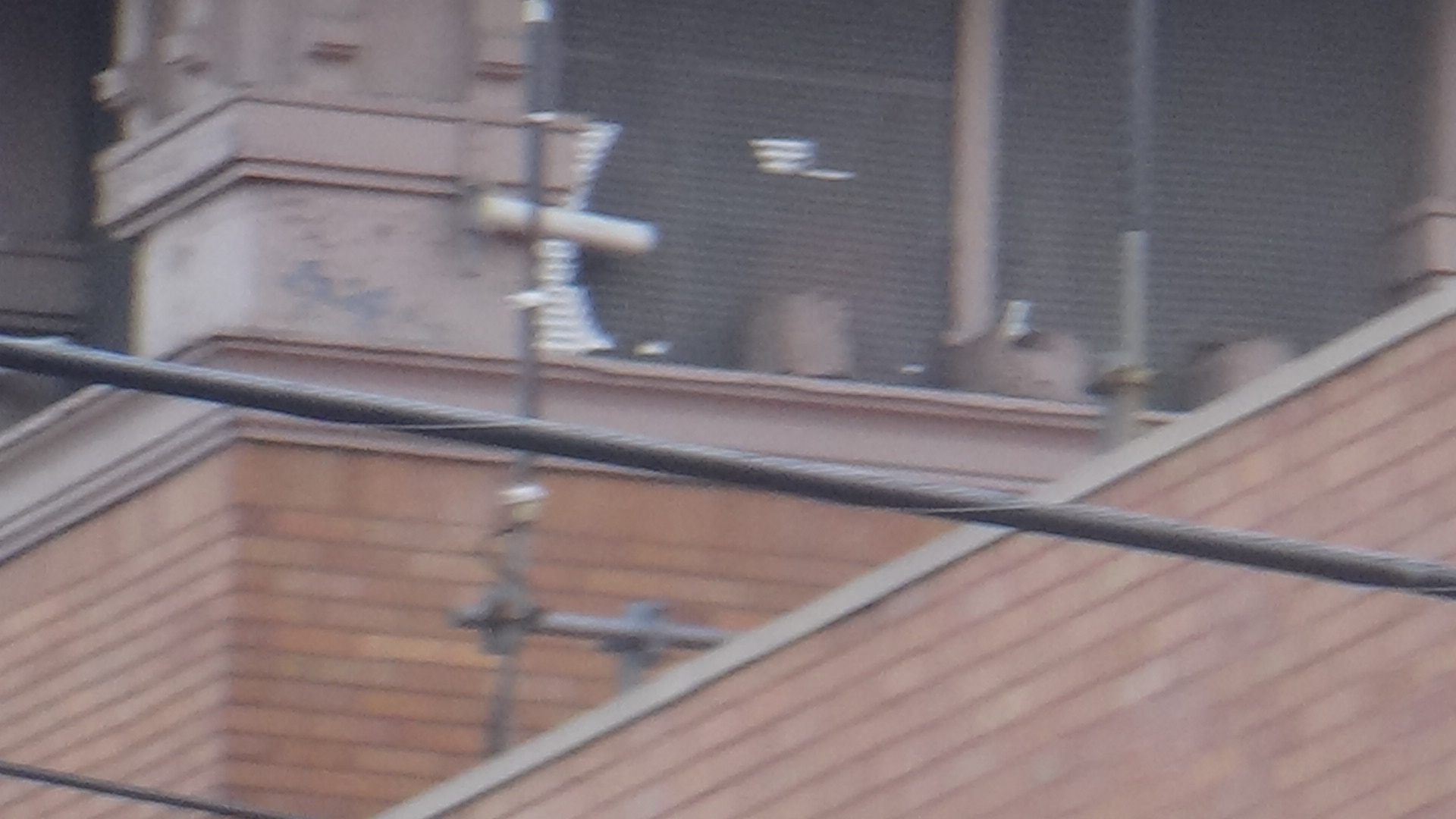 DSC01171.jpeg
