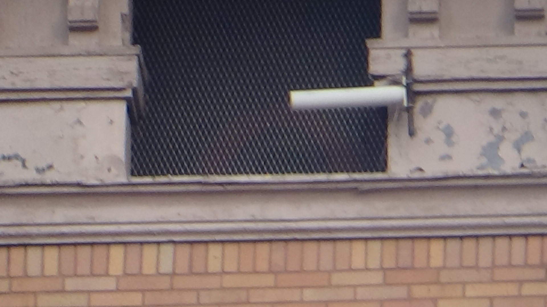 DSC01163.jpeg
