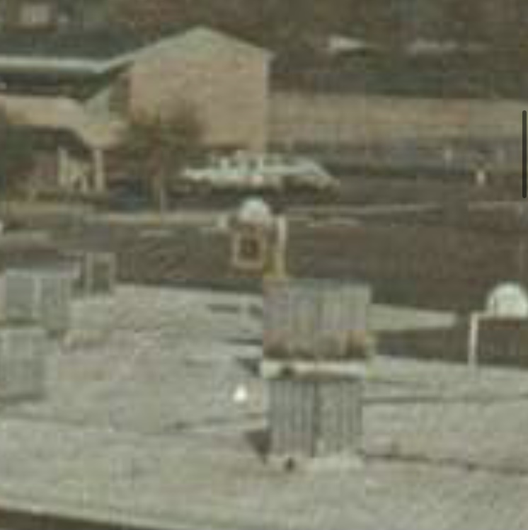 IMG_1125.jpeg