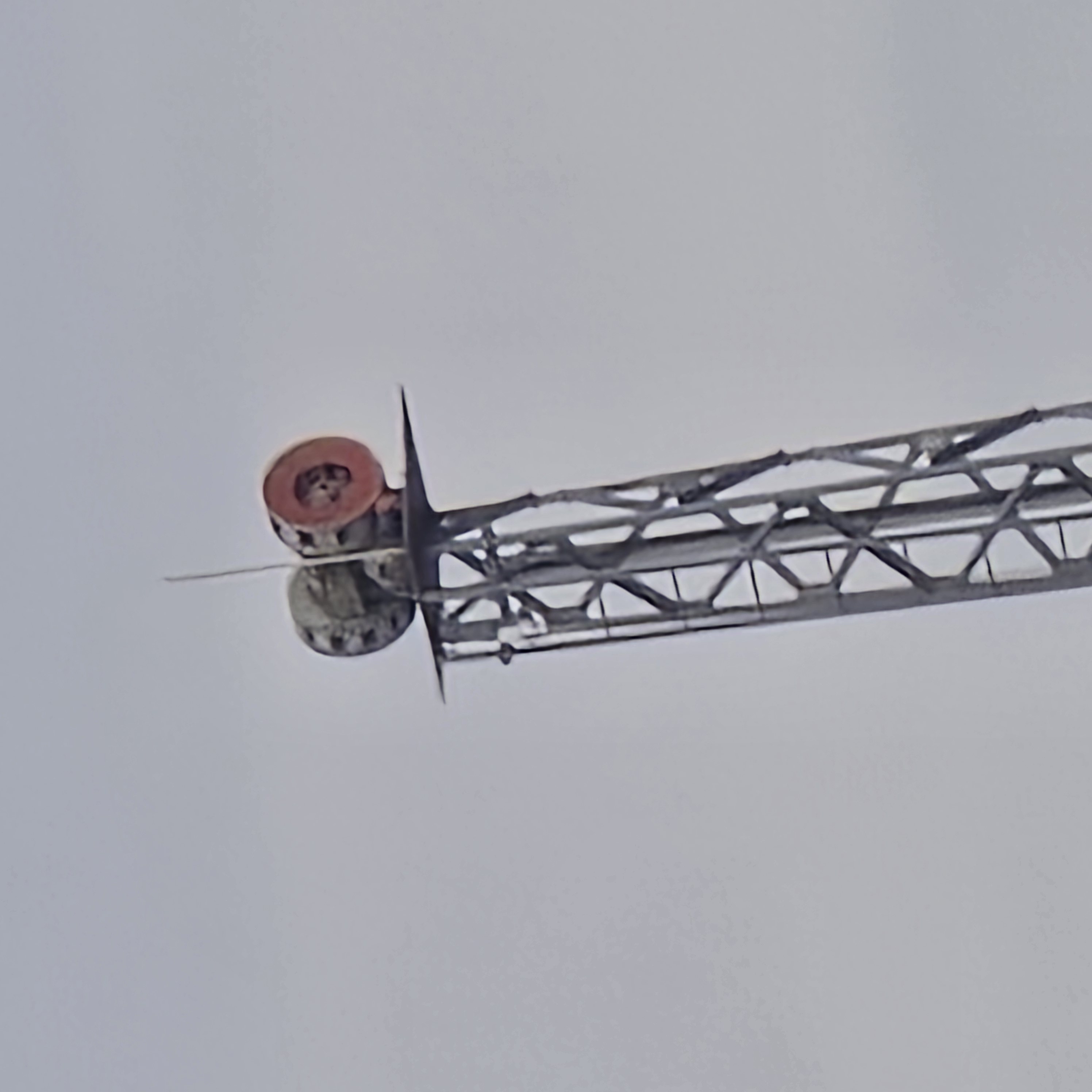 20250511_182058.jpg