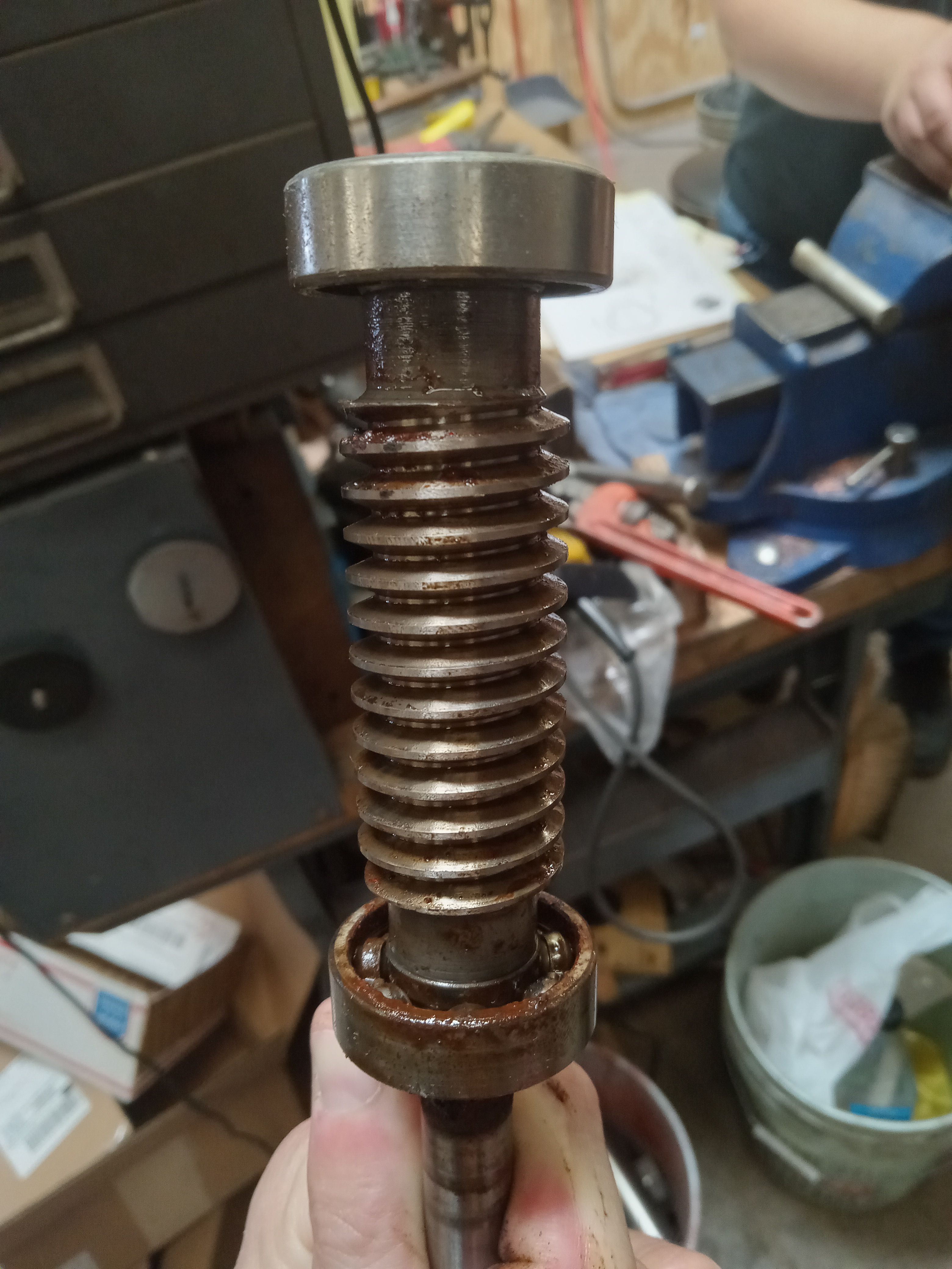 Worm gear.jpg