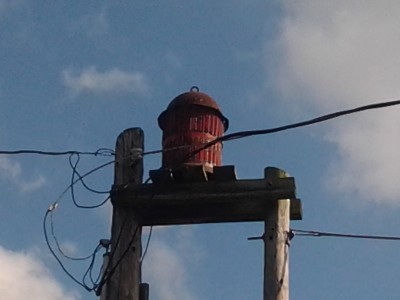 IMG_20130608_171717.jpg