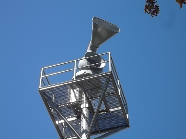 DSCF5146.JPG