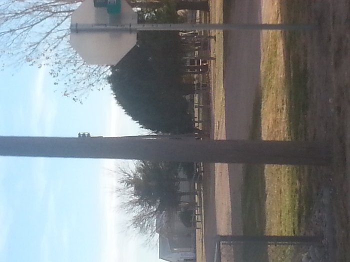 20141108_152430.jpg