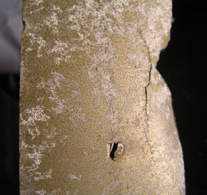 AV37X rotor-2.jpg