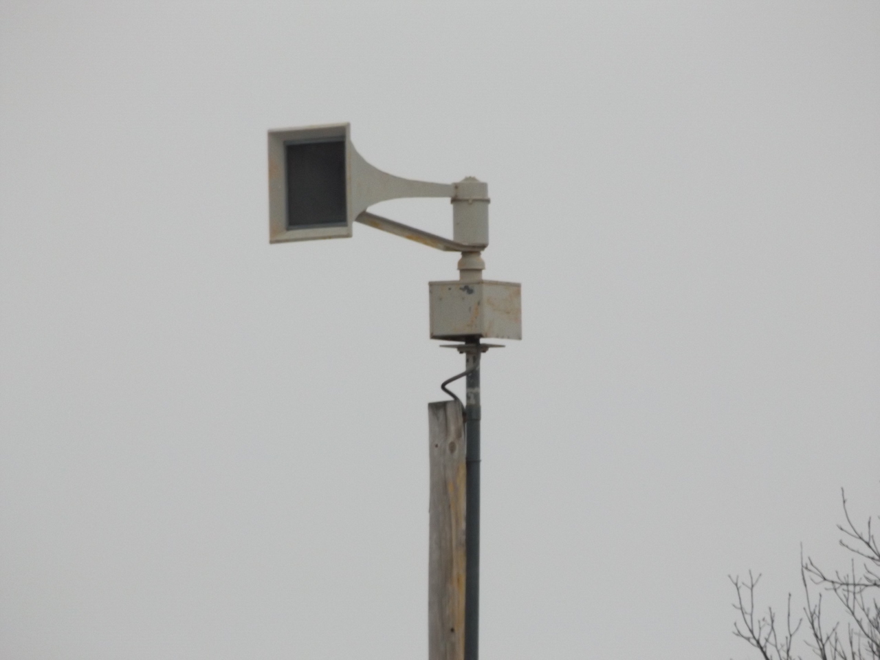 DSCF0126.JPG