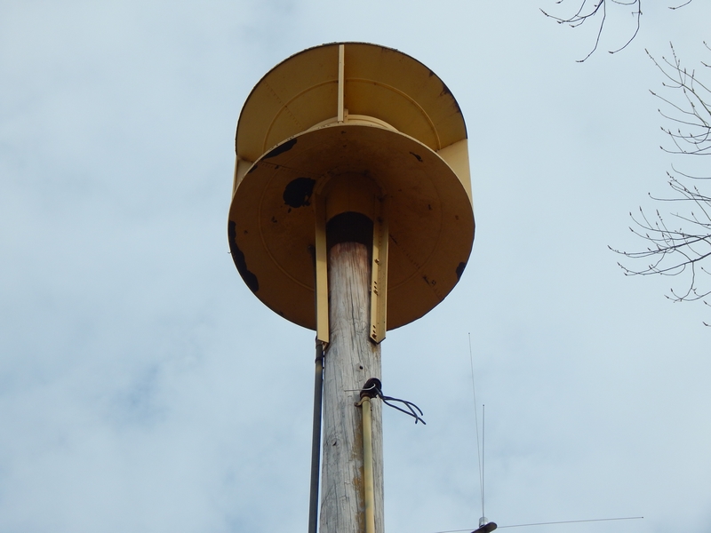 BD8.jpg