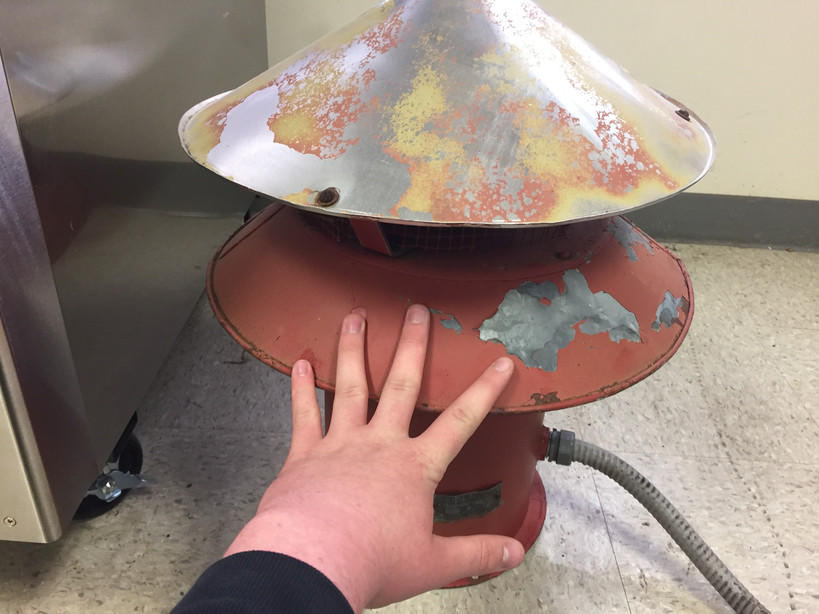 image.jpeg