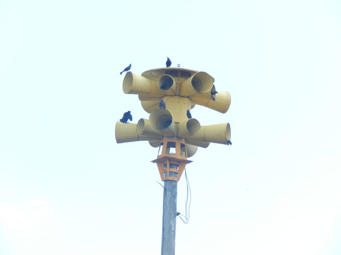 DSCN4255.JPG
