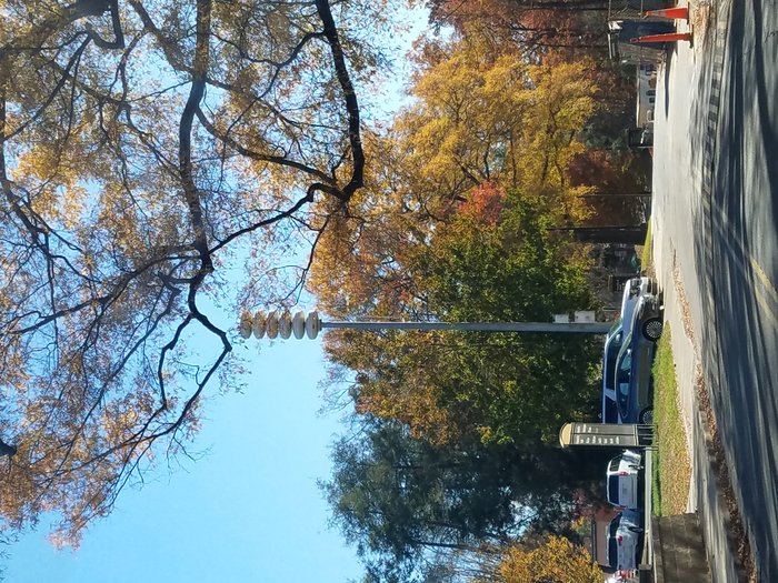 20161120_113017.jpg