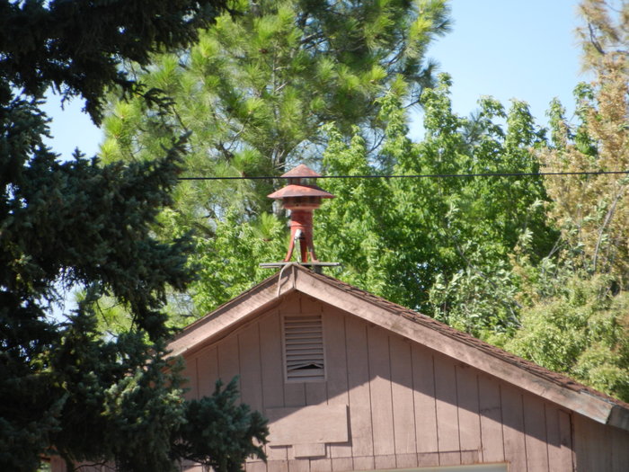 DSCN7655.JPG