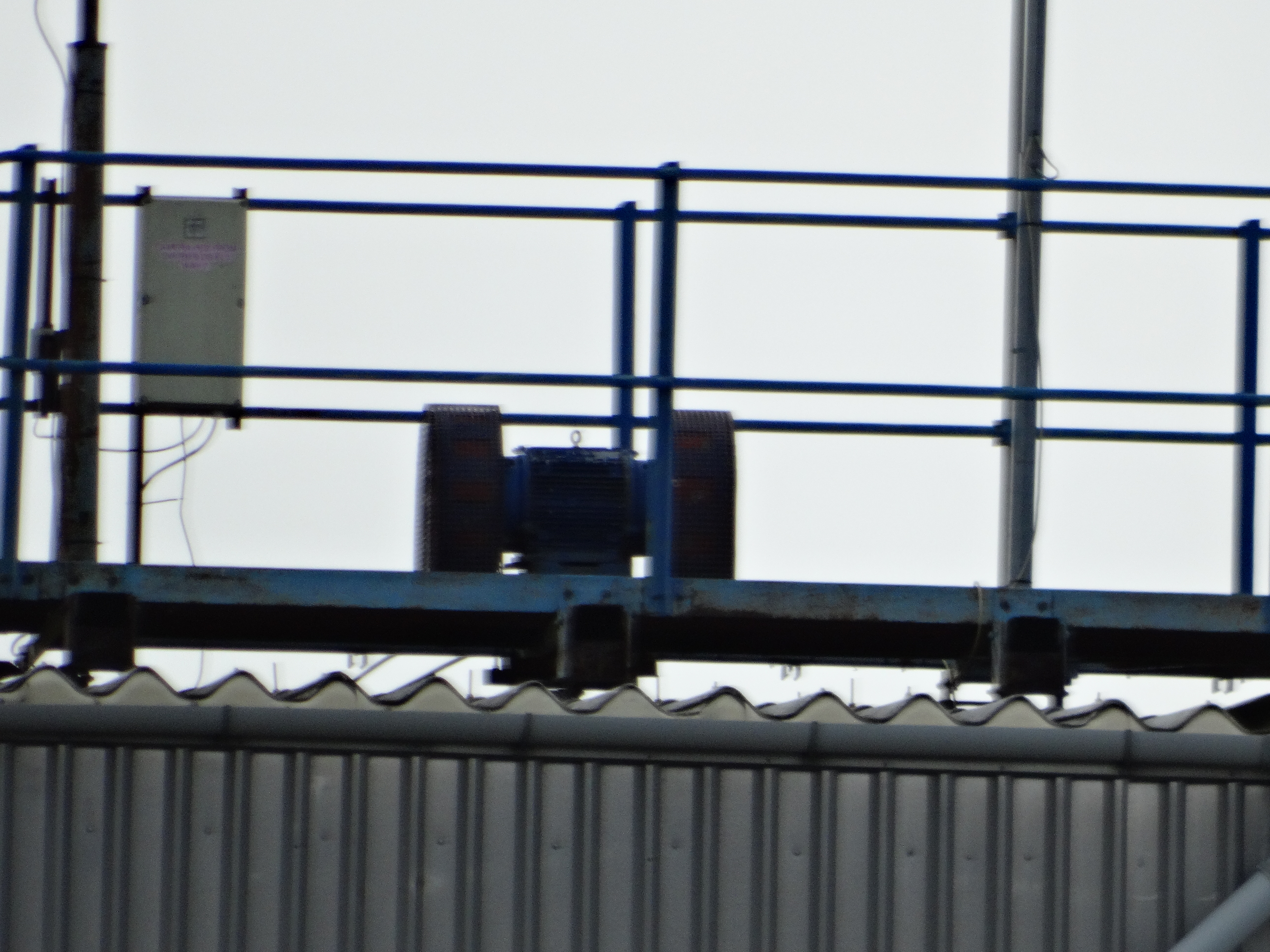 DSC01244.JPG