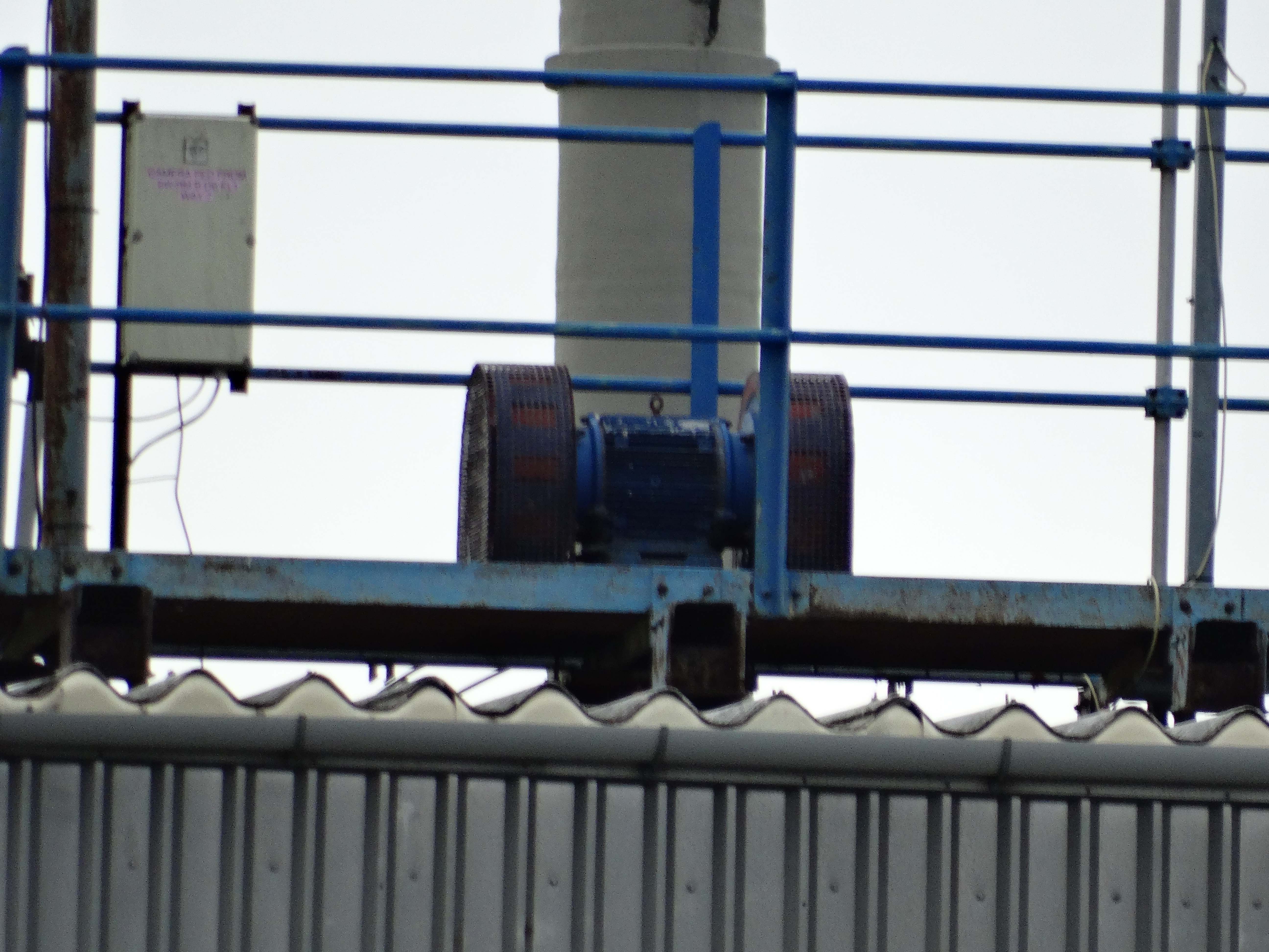 DSC01246.JPG