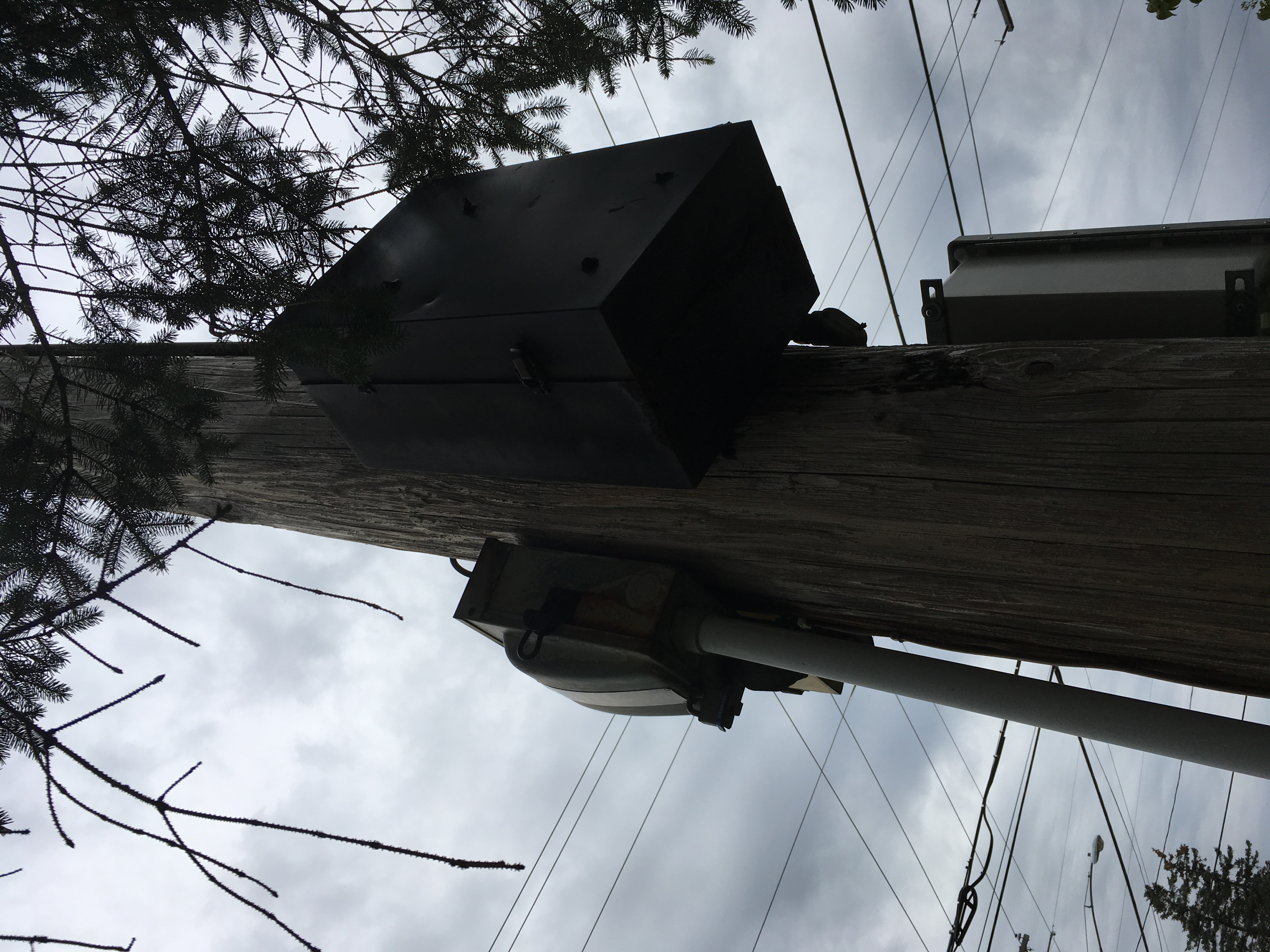 600F6FF3-1983-40DA-842B-F50B821926AA.jpeg