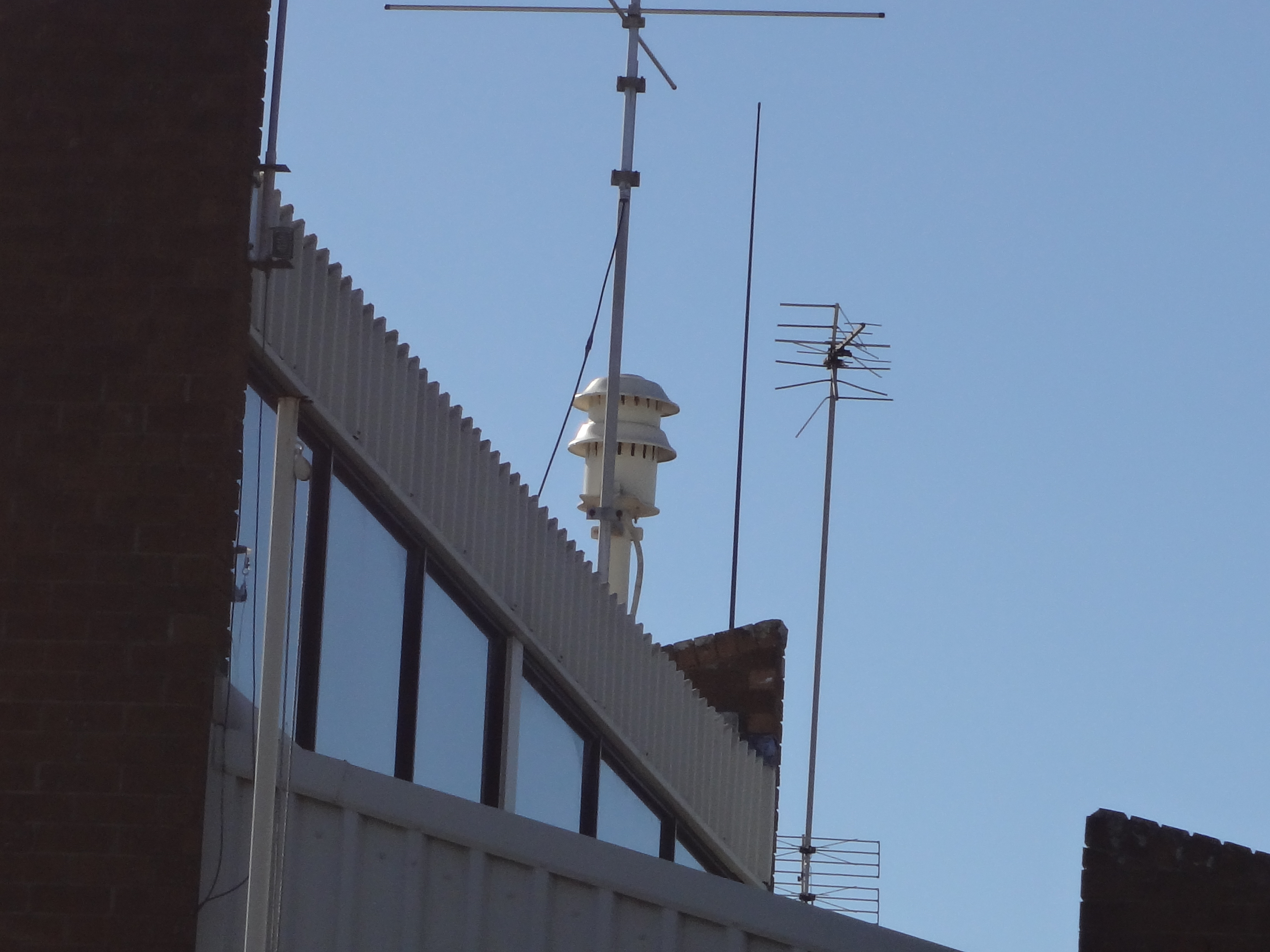 DSC01513.JPG