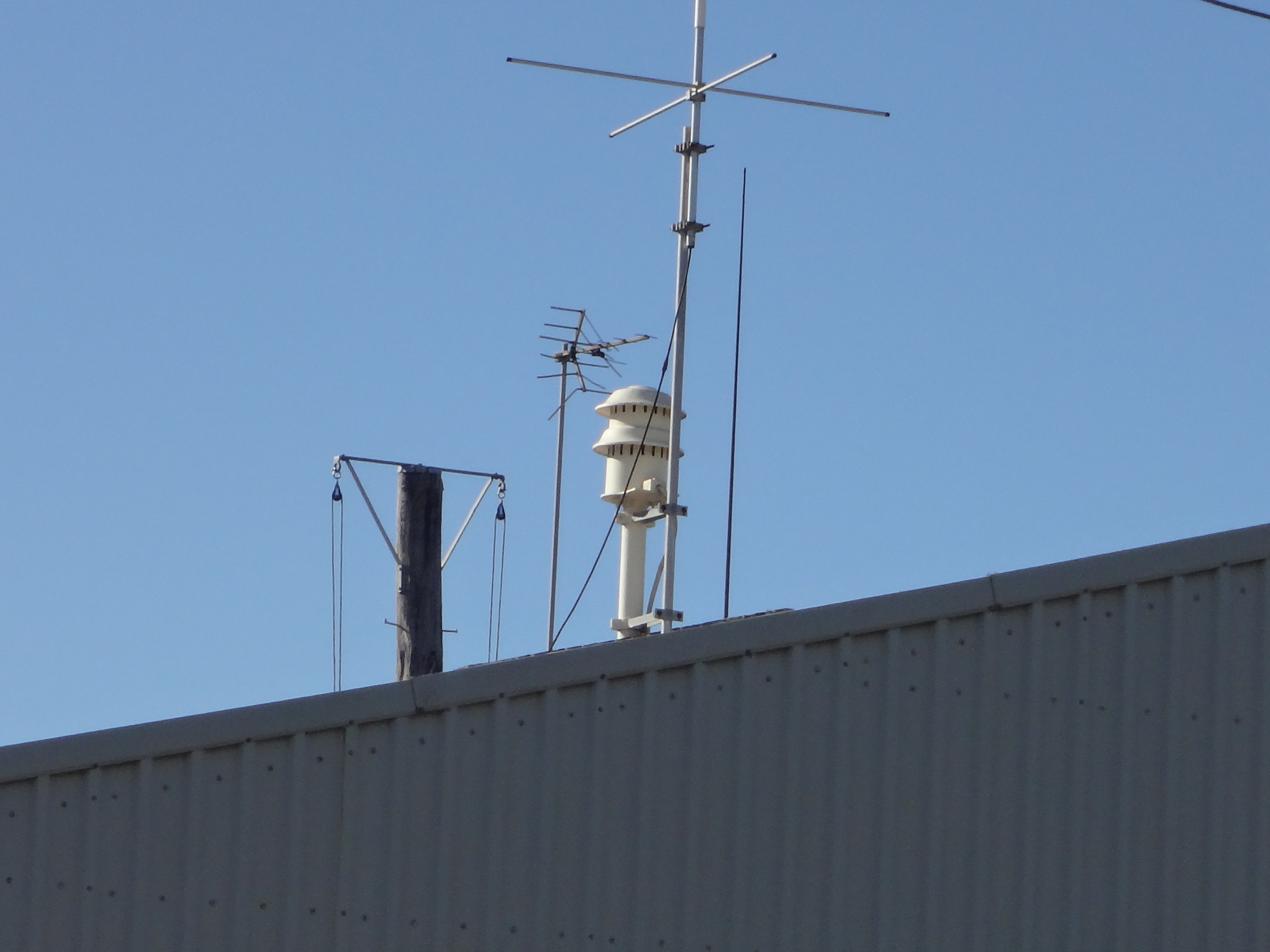 DSC01515.JPG