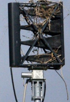 20120328__28dcasirw_300.jpg
