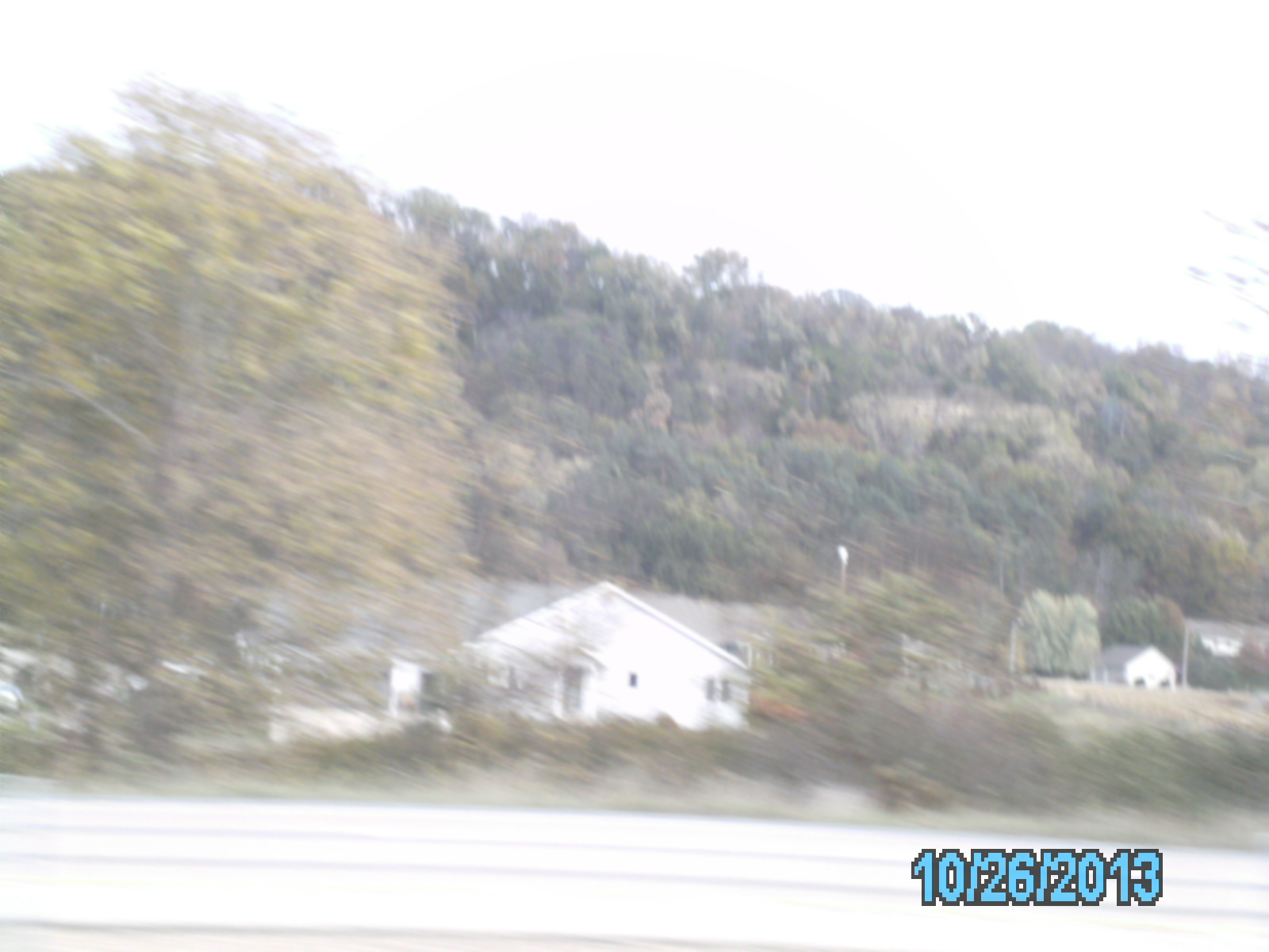 SANY0095.JPG