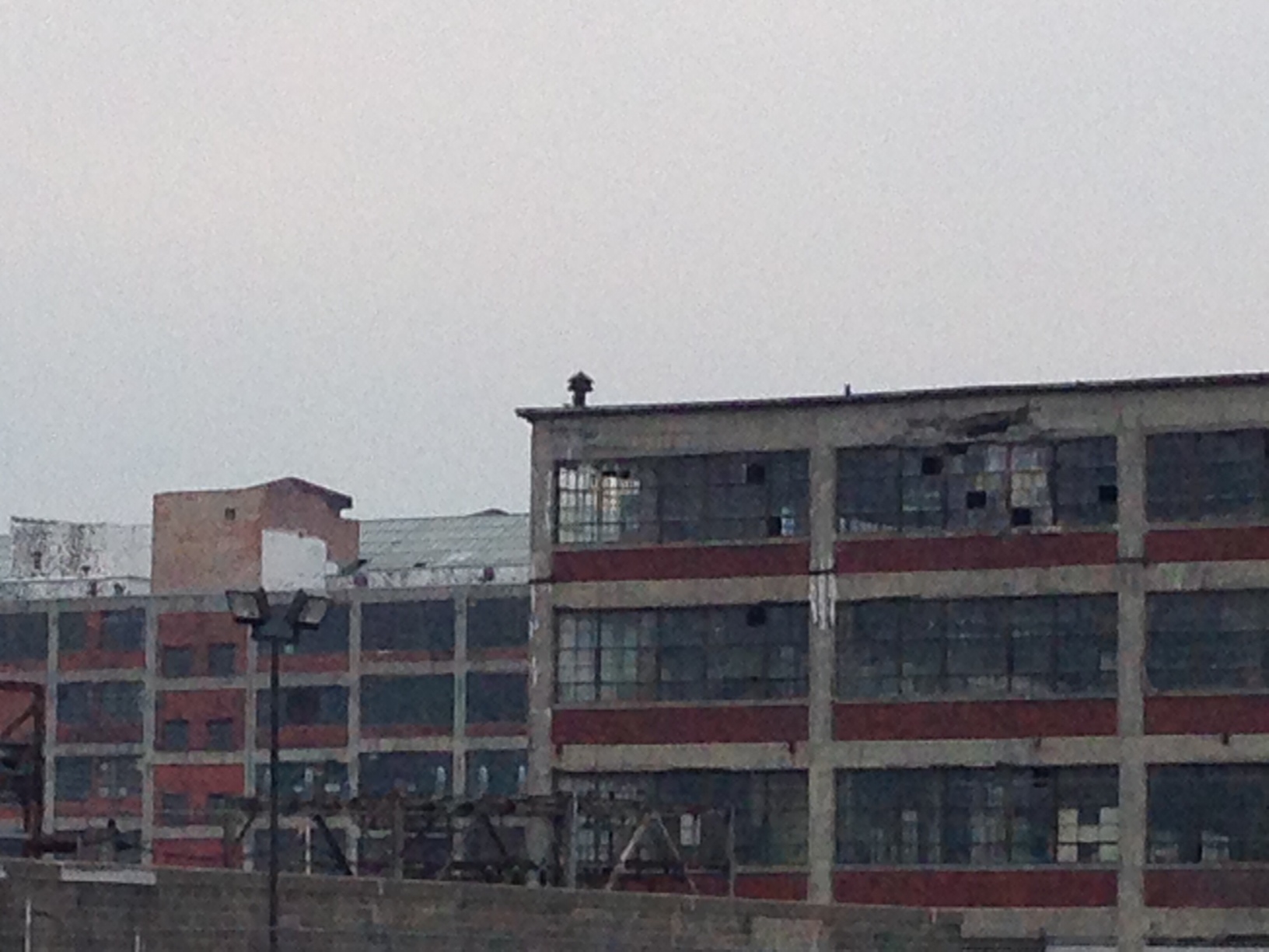 photo.JPG